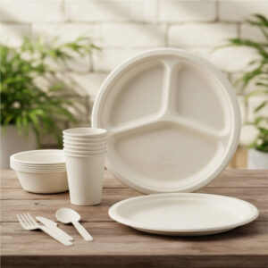 Bagasse Plates and Bowls