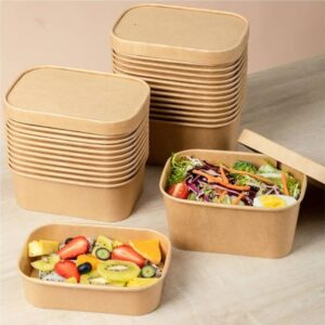 Biodegradable Food Packaging Containers