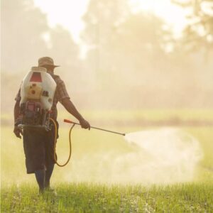 Fertilizers & Agro Chemicals